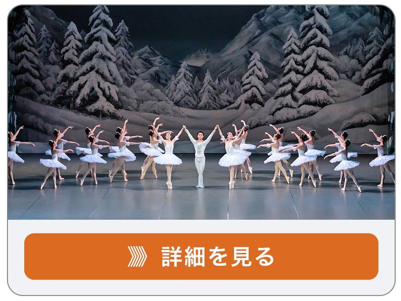 大学バレエ 公演基金