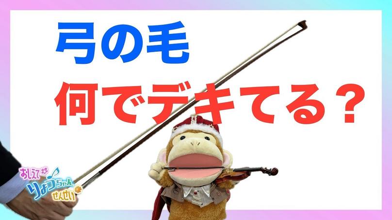 🌸2025年1月11日 配信🌸