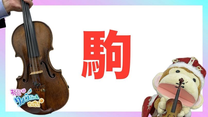 🌸2025年6月19日 配信🌸