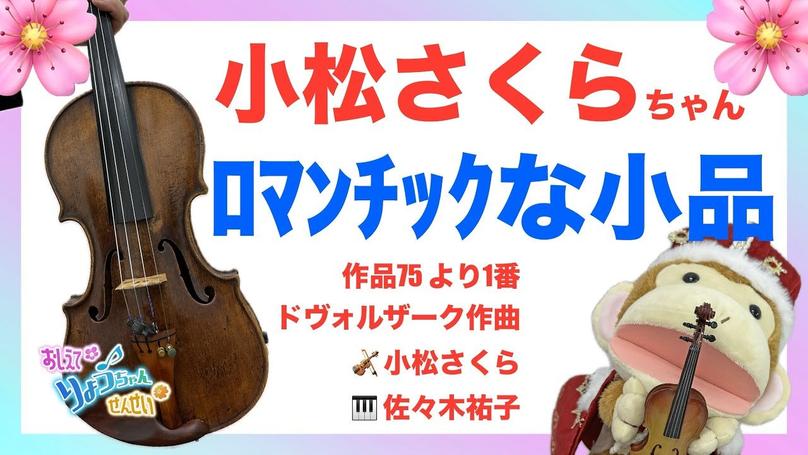 🎻2025年7月20日 配信🌸