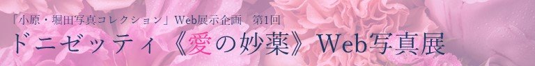 小原・堀田写真コレクションWeb展示＜愛の妙薬＞バナー画像